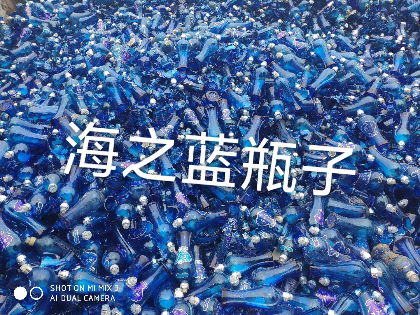 铜山区海之蓝瓶回收